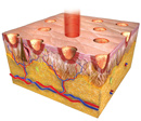 SmartXide Fractional Laser Skin Treatment